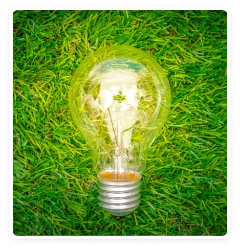 About Us - Expert Consulting Group